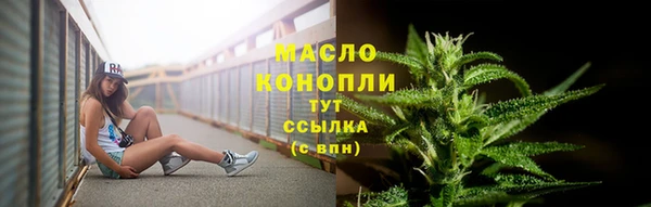 гидра Приозерск