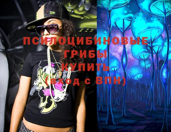 синтетический гашиш Протвино